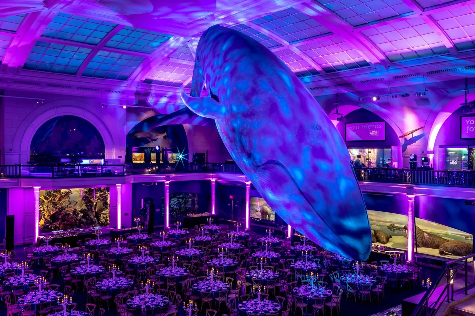 Chicago event photographer Maggie Rife Ponce at an event