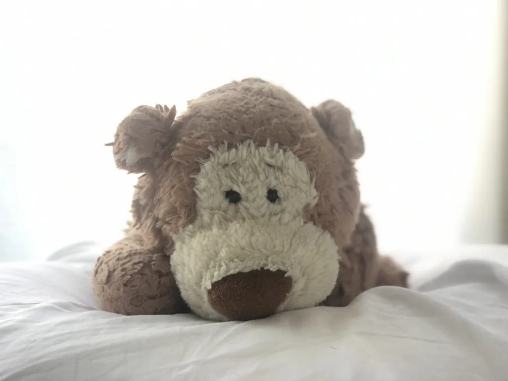 diy-newborn-photos